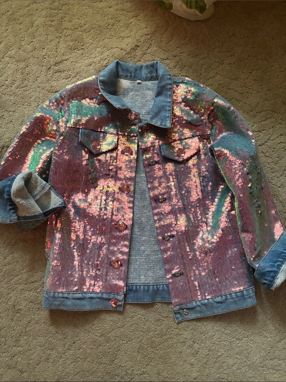 Lola and the Boys sample jacket